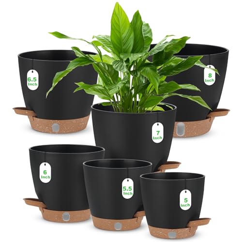 Self Watering Planter Set with Visual Water Level, 6Pack Small Plastic Pot with Drainage Holes and Reservoir Saucers, Modern 8+7+6.5+6+5.5+5 Inch Bottom Watering Flower Pots for Indoor Plant - Black - color: Black-small
