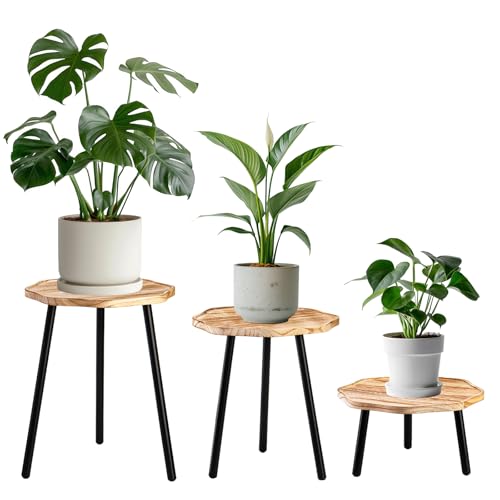 Frcctre 3 Pack Indoor Plant Stand, Wooden Mid Century Plant Stand Tall Plant Table Plant Holder Plant Riser for Flower Pots, Modern Home Decor Octagonal Shape Small Side End Table