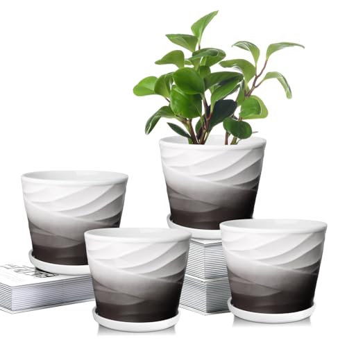 5 Inch Ceramic Plant Pots(5.5 in Diameter),Set of 4 - color: Dark Gray + White, size: 5.5 Inch-4 Pack