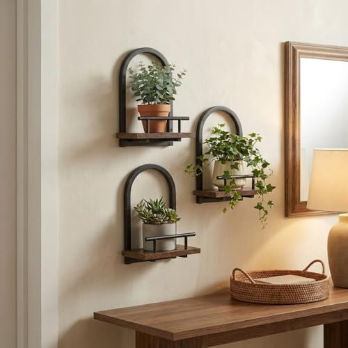 Amaoot Floating Shelves Set for 2, Wall Plant Holder Shelf, Wall Planters