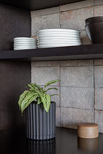 Veradek Demi Series Demi 6" Planter w/Tray, Black - color: Black, size: 6 inch