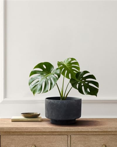 Succulent Pots, 8"+6" Plant Pots, Ceramic Planters for Indoor Plants - color: Black