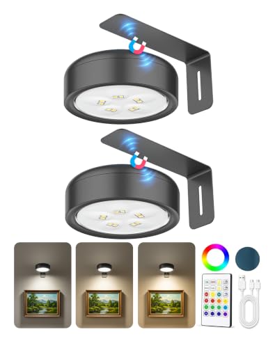 2 Pack Picture Lights for Wall, 2000mAh Rechargeable Poster Light - size: 2 Pack