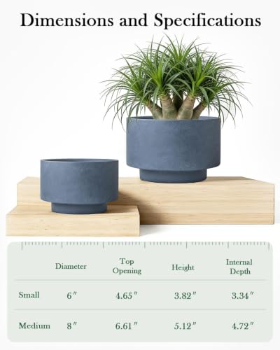Succulent Pots, 8"+6" Plant Pots, Ceramic Planters for Indoor Plants - color: Blue