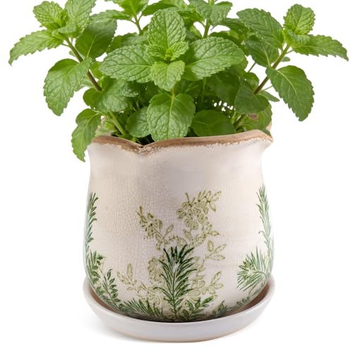 Ceramic-Planters-for-Indoor-Plants with Saucer, 6 inch Vintage Ice Crackle Glaze Plant Pots with Drainage Holes, Decorative Flower Pots for Outdoor Garden Home Decor, Tuscan Pot for Plant - color: Green Fern