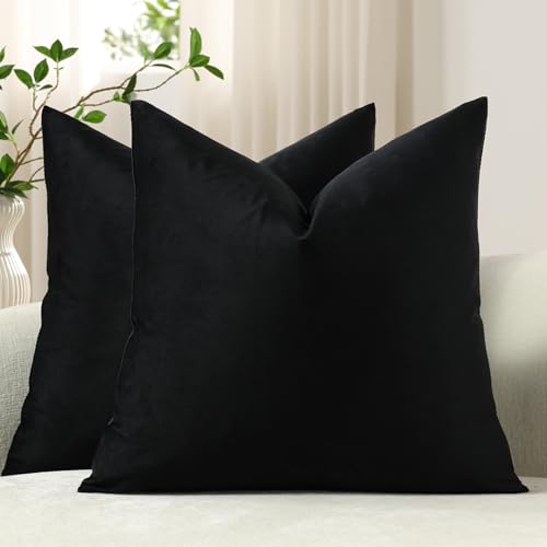 DEZENE Throw Pillow Covers 16x16 Black: Pack of 2 Cozy Soft Velvet Square Modern Luxury Decorative Throw Pillow Cases for Sofa Couch Living Room Bed Home Decor - color: Caviar, size: 16" x 16" (Pack of 2)