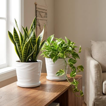 6 Inch Plant Pot,Ceramic Planter with Drainage and Saucer(6.7 In Diameter) - color: Pure White, size: 6.7 Inch-2 Pack