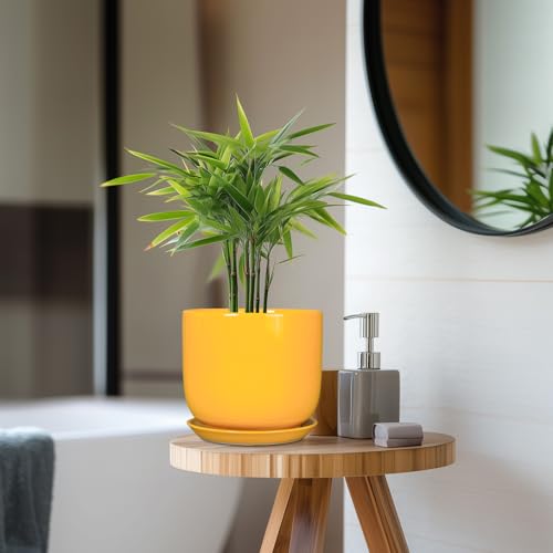 Indoor Plant Pot, 7 Inch Round Ceramic Planter, Yellow - color: Gloss Yellow, size: 7 Inch
