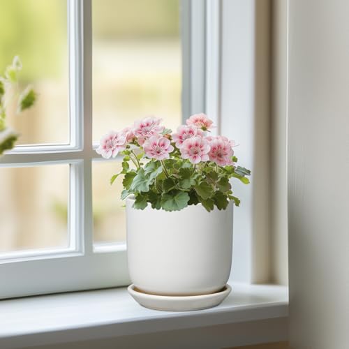 Indoor Plant Pot 5 Inch - Round Ceramic Planter for Succulent Plants with Drainage Hole and Saucer, Modern Home Decor, White - color: Gloss White, size: 5.3 Inch