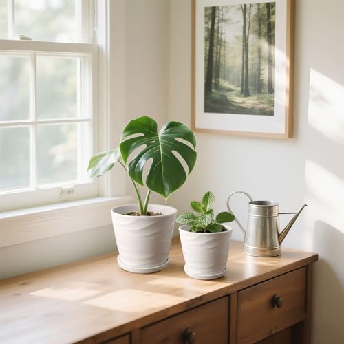 Ceramic Plant Pot, 6.7 + 5.5 Inch, White - color: Pure White, size: 6.7 + 5.5 Inch-2 Pack