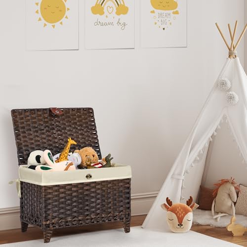 Wicker Storage Basket with Lid, 65L Shelf Basket with Removable Liner Bag - color: Brown, size: 65L