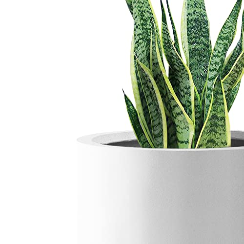 Kante Small Round Cylinder White Concrete Planter 9.8" Tall, Outdoor - color: Pure White, size: 9.8" Dia