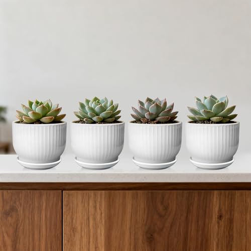 5.5 Inch Ceramic Plant Pot,White, 4 Pack - color: Pure White, size: 5.5 Inch(4 PCS)