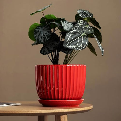Ceramic Plant Pots Set of 3-Red Flower Pots with Drainage Holes and Saucers - color: Red