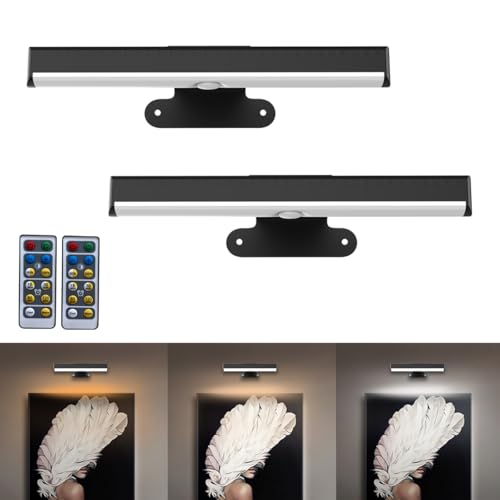 EUIOKUN 2PACK Picture Lights LED Battery Operated Wall Light for Paintings - size: 2Pack Black