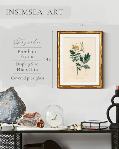 InSimSea Gold Bamboo Framed Wall Art,Kitchen Herbs Botanical Prints,11x14In - color: Herb Chelidonium Majus