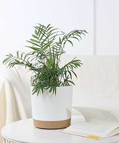 kubvici Indoor Plant Pots Planters 8 inch Plastic Planter (White x 3 Pack) - color: White 3, size: 8 inch