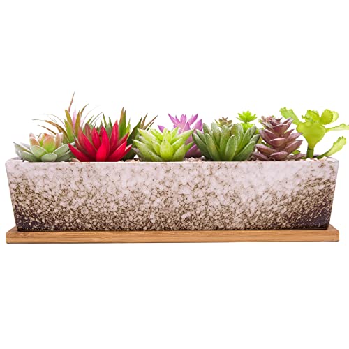 Succulent Pots - 12.1 Inch Large Succulent Planters Pots with Drainage Tray - color: White