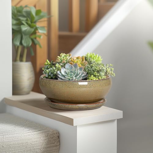 SQOWL Succulent Pots, 8 Inch Ceramic Bonsai Pots with Drainage Tray, Brown - color: Speckled-brown, size: 8 Inch