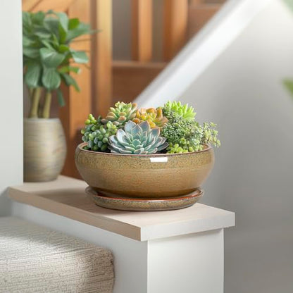 SQOWL Succulent Pots, 8 Inch Ceramic Bonsai Pots with Drainage Tray, Brown - color: Speckled-brown, size: 8 Inch