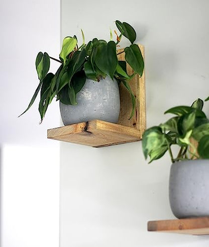 Daniel's Plants Indoor Plant Wall Gallery Shelf Kit | Midcentury Modern Wooden Shelves | Wall Mounted L Shaped Floating Plant Shelves | Solid Wood | 3 Pack (Natural - Unstained) - color: Natural - Unstained