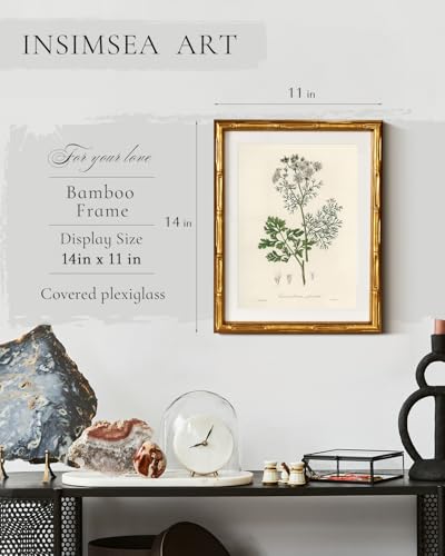 InSimSea Gold Bamboo Framed Wall Art, Plants Fern Botanical Prints, 11x14In - color: Coriander