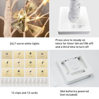 PEIDUO Set of 2 Money Trees, Lighted 22Inch 24LT White Birth Tree with Clips and Greeting Cards, Gift Card Holder for Birthday,Christmas, Wedding, Father's Day Graduation Gifts, Money Tree Gift Holder - color: Transparent,white
