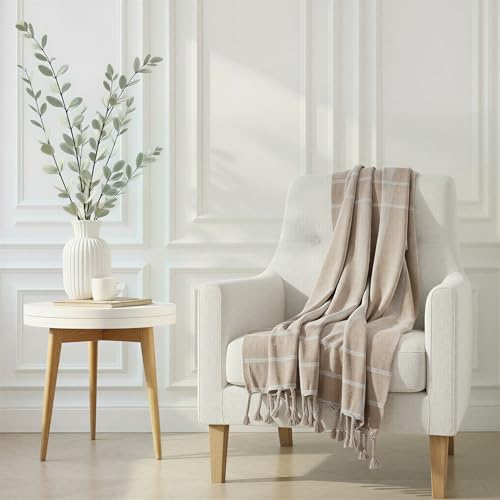 Creative Co-Op Woven Cotton Blend Striped Throw with Braided Fringe, Beige and Natural