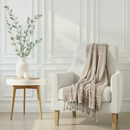 Creative Co-Op Woven Cotton Blend Striped Throw with Braided Fringe, Beige and Natural