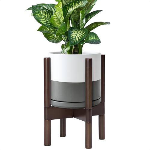 D'vine Dev Ceramic Pot with Walnut Wood Stand, White/Grey, 8 in, 55-B-Y-6 - color: White/Grey Pot + Walnut Color Stand, size: 8 Inch