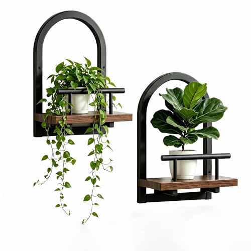 Amaoot Floating Shelves Set for 2, Wall Plant Holder Shelf, Wall Planters