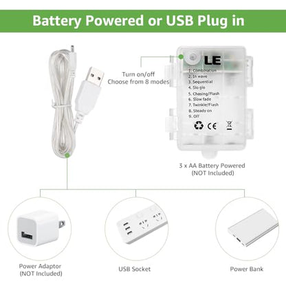 Lepro Lighting Ever Fairy Curtain Lights Battery Operated & USB Plug in