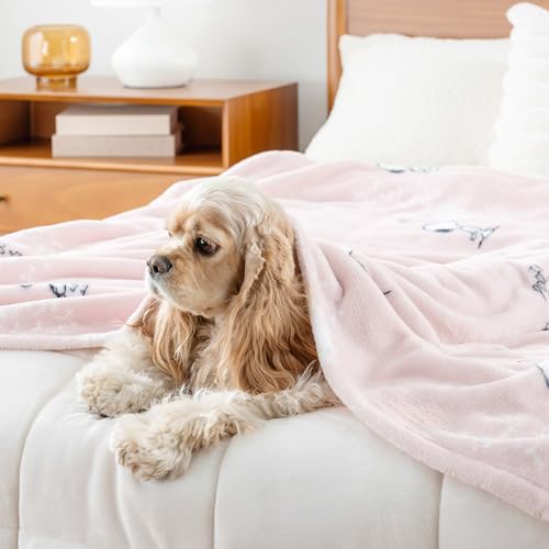 Berkshire Blanket Peanuts VelvetLoft Cute Character Snoopy Plush Throw Blanket,Peanuts Snoopy Make A Wish Spring Pink,Throw 55 in x 70 in (Official Peanuts Product) - color: Make a Wish Spring Pink, size: Throw (55 in x 70 in)