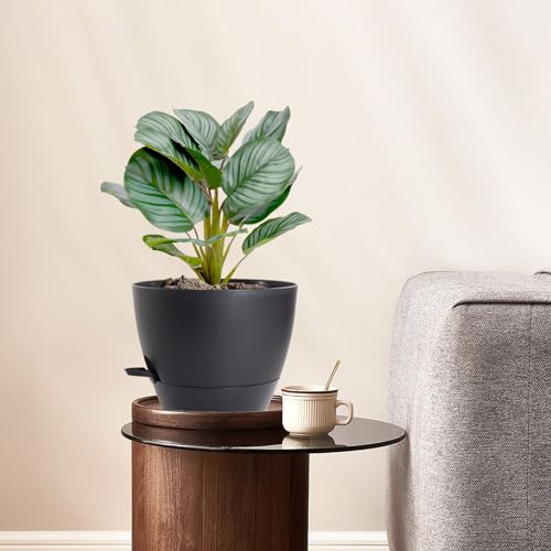 WSMKSZ 10 inch Self Watering Pots, 2 Pack Plastic Planters with Mesh Drainage Holes for Garden Plants and Flower, Plants Pots with Deep Reservoir for Indoor Outdoor Plants, Black - color: Black, size: 10inch 2pcs