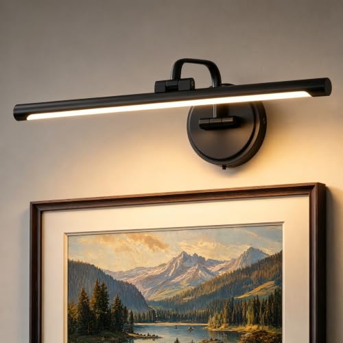 Hardwired Picture Light for Wall, 16 Inch Modern Brass Dimmable Frame Light with Adjustable Swing Arm, 3CCT LED Art Display Light for Paintings,120 Volts Gallery Wall Light, Hallway Vanity Light, 6W - color: Black, size: 16 inches