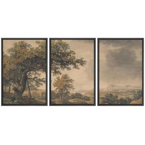MUDECOR Framed Wall Art Print Set Vintage Landscape Rustic Tree and Mountain View Illustrations Decorative Colorful for Living Room, Bedroom, Office - 16"x24"x3 Black - color: A07-2410-ll01, size: 16"x24"x3 Panels Black