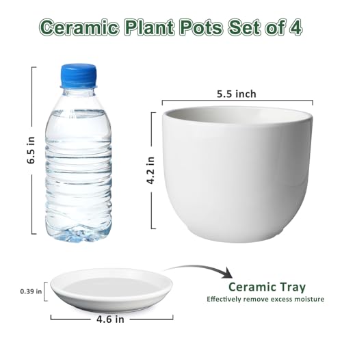 Ceramic Plant Pots, White, 5.5 Inch, 4 Pack - size: 5.5 Inch 4 Pcs