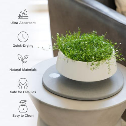 Dorai Home Stone Plant Pots Saucer Set 11.8" - Diatomite Water-Absorbing Trays for Indoor Plants, Ideal for Shelves & Floors | Pack of 2 Large