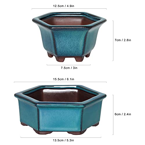 Bonsai Planter 2pc Small Succulent Glazed Pots 4.9" and 6.1" + 6 Soft Mesh Drainage Screens - style: Style B&D1