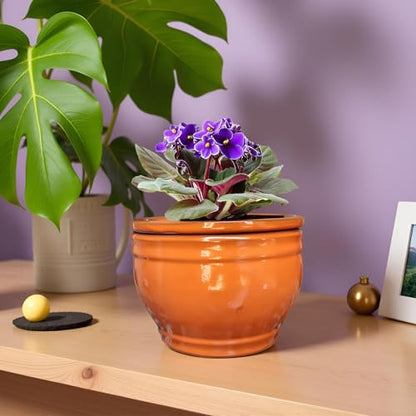 African Violet Pots Self Watering Orange 6 inch - color: Orange