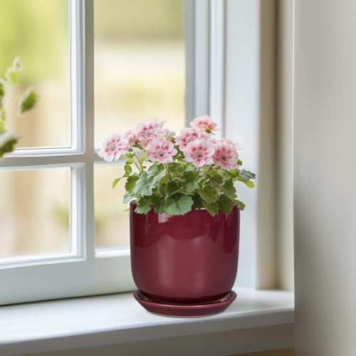 Ceramic Plant Pot - 5 Inch Modern Round Planter for Indoor Plants with Drainage Hole and Saucer, Patio Office House Room Bathroom Decor, Red - color: Red, size: 5.3 Inch