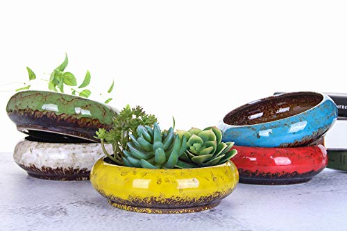 VanEnjoy 7.3 inch Round Large Shallow Succulent Ceramic Glazed Planter Pots with Drainage Hole, Bonsai Pots Garden Decorative Cactus Stand Flower Container (Green) - color: Green