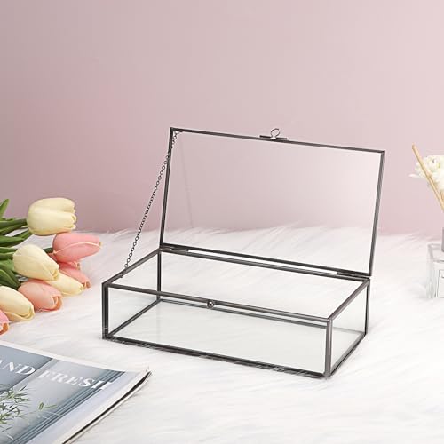 Hipiwe Glass Keepsakes Display Box with Lid - Decorative Black Glass Box - color: Black, size: Large