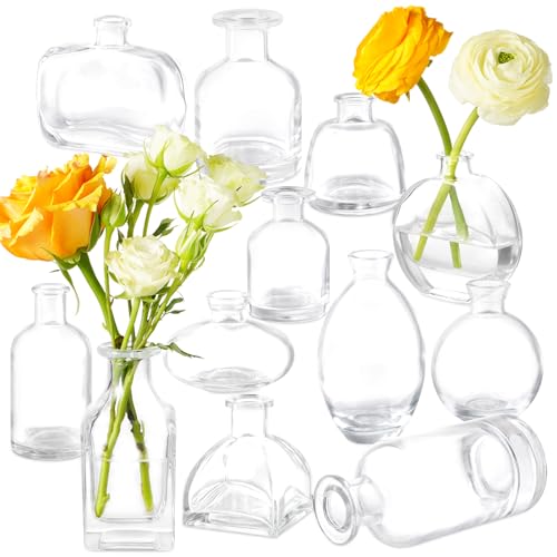 Bud Vases Set of 12, Clear Glass Bud Vase in Bulk, Small Vases - color: Clear Set of 12
