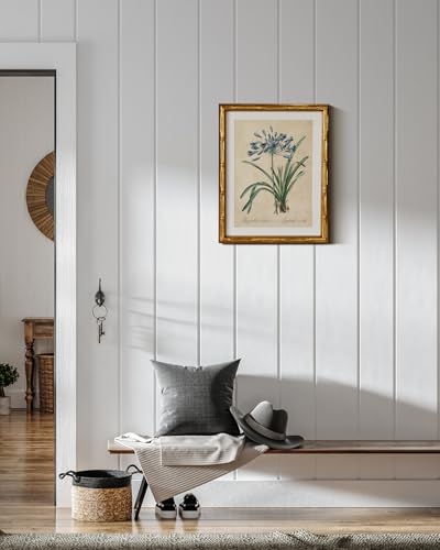 InSimSea Gold Bamboo Framed Wall Art, Retro Lily Botanical Prints, 11x14In - color: African Lily