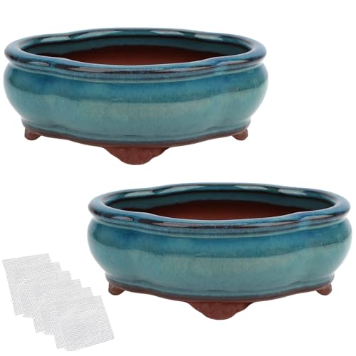 Bonsai Planter 5.7" Small Succulent Glazed Pots Set of 2 + 6 Soft Mesh Drainage Screens - style: Style Ax2