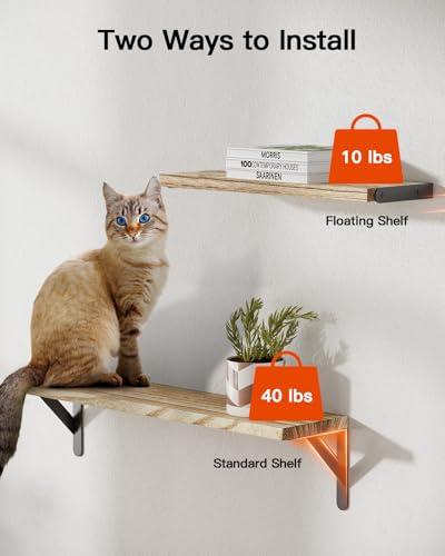 Amada Solid Paulownia Wood Wall Shelves, Large Size, 6 Pcs, Natural Wood - color: Wooden, size: Large
