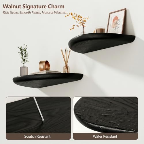 Solid Walnut Floating Shelves for Wall 15.7" Set of 2, Wall Mounted Shelf - color: Black