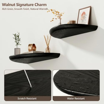 Solid Walnut Floating Shelves for Wall 15.7" Set of 2, Wall Mounted Shelf - color: Black
