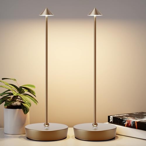 2Pack Rechargeable Cordless Table Lamp, Portable Powered LED Battery 6000mAh Metal USB Desk Lamp, 3 Levels Brightness Light for Restaurants Outdoor (2pack Titanium) - color: 2pack Titanium